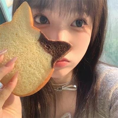 战鸭突击队